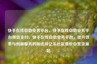 快手在线自助业务平台，快手在线自助业务平台微信支付，快手在线自助业务平台，提升效率与创新服务的新选择亿乐社区低价自营货源站