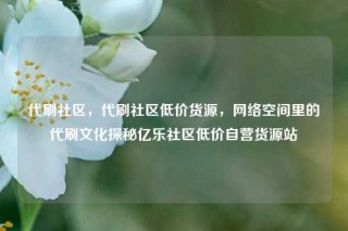 代刷社区，代刷社区低价货源，网络空间里的代刷文化探秘亿乐社区低价自营货源站