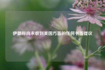 伊朗称尚未收到美国方面的任何书面提议