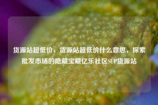 货源站超低价，货源站超低价什么意思，探索批发市场的隐藏宝藏亿乐社区SUP货源站