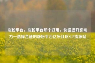 涨粉平台，涨粉平台那个好用，快速提升影响力—选择合适的涨粉平台亿乐社区SUP货源站