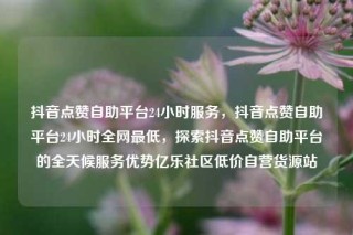 抖音点赞自助平台24小时服务，抖音点赞自助平台24小时全网最低，探索抖音点赞自助平台的全天候服务优势亿乐社区低价自营货源站