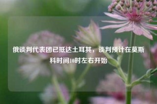 俄谈判代表团已抵达土耳其，谈判预计在莫斯科时间10时左右开始