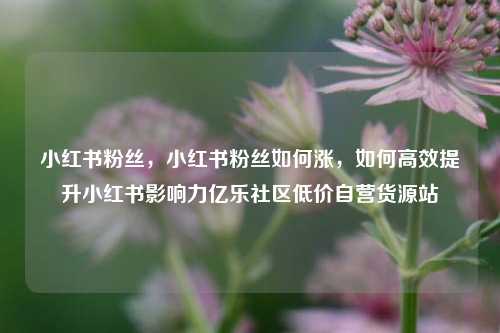 小红书粉丝，小红书粉丝如何涨	，如何高效提升小红书影响力亿乐社区低价自营货源站  第1张