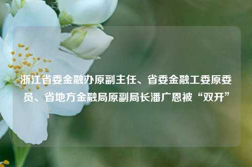 浙江省委金融办原副主任、省委金融工委原委员	、省地方金融局原副局长潘广恩被“双开”  第1张