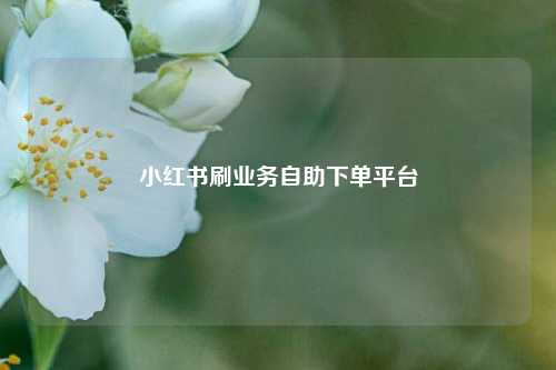 小红书刷业务自助下单平台  第1张