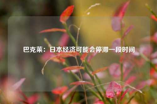 巴克莱：日本经济可能会停滞一段时间  第1张