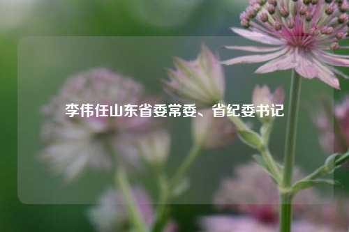 李伟任山东省委常委、省纪委书记  第1张