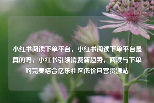 小红书阅读下单平台	，小红书阅读下单平台是真的吗，小红书引领消费新趋势，阅读与下单的完美结合亿乐社区低价自营货源站  第1张