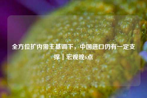 全方位扩内需主基调下，中国进口仍有一定支撑｜宏观晚6点  第1张