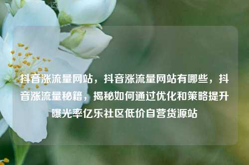 抖音涨流量网站，抖音涨流量网站有哪些，抖音涨流量秘籍	，揭秘如何通过优化和策略提升曝光率亿乐社区低价自营货源站  第1张