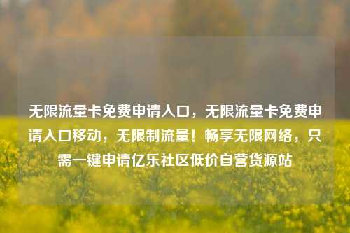 无限流量卡免费申请入口，无限流量卡免费申请入口移动	，无限制流量！畅享无限网络，只需一键申请亿乐社区低价自营货源站  第1张