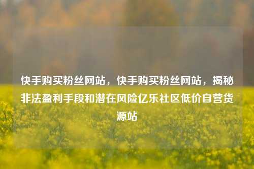 快手购买粉丝网站	，快手购买粉丝网站，揭秘非法盈利手段和潜在风险亿乐社区低价自营货源站  第1张