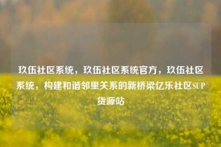玖伍社区系统，玖伍社区系统官方，玖伍社区系统，构建和谐邻里关系的新桥梁亿乐社区SUP货源站