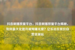 抖音刷播放量平台，抖音刷播放量平台揭秘，如何最大化提升视频曝光度？亿乐社区低价自营货源站