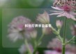 抖音灯牌亲密度表