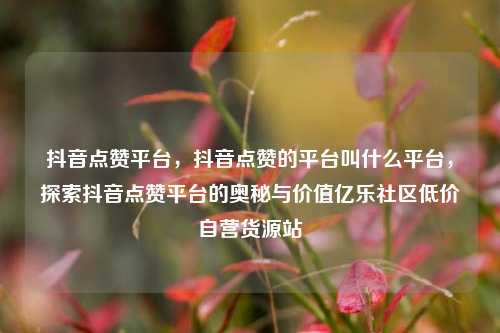 抖音点赞平台，抖音点赞的平台叫什么平台，探索抖音点赞平台的奥秘与价值亿乐社区低价自营货源站  第1张