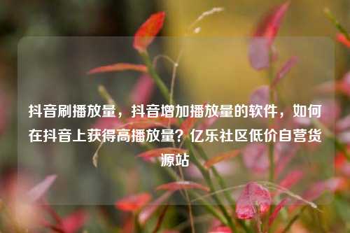 抖音刷播放量，抖音增加播放量的软件，如何在抖音上获得高播放量？亿乐社区低价自营货源站  第1张