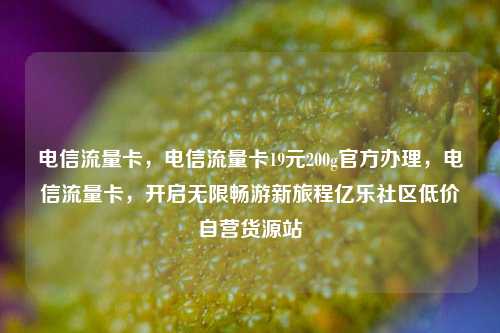 电信流量卡，电信流量卡19元200g官方办理，电信流量卡	，开启无限畅游新旅程亿乐社区低价自营货源站  第1张