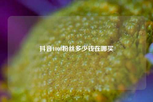 抖音1000粉丝多少钱在哪买  第1张