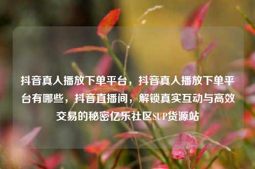 抖音真人播放下单平台	，抖音真人播放下单平台有哪些，抖音直播间，解锁真实互动与高效交易的秘密亿乐社区SUP货源站  第1张