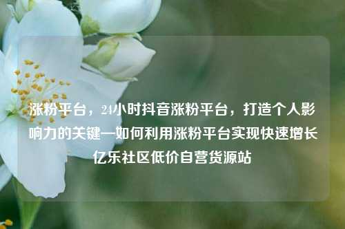 涨粉平台，24小时抖音涨粉平台，打造个人影响力的关键—如何利用涨粉平台实现快速增长亿乐社区低价自营货源站  第1张