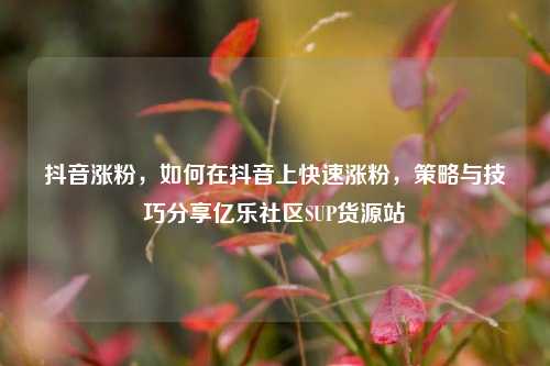抖音涨粉，如何在抖音上快速涨粉	，策略与技巧分享亿乐社区SUP货源站  第1张