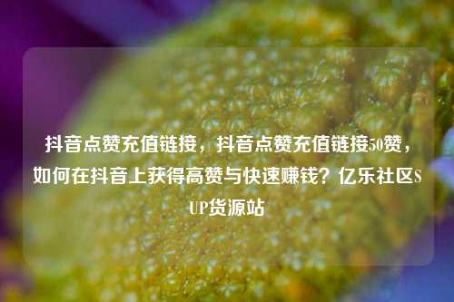 抖音点赞充值链接，抖音点赞充值链接50赞，如何在抖音上获得高赞与快速赚钱？亿乐社区SUP货源站  第1张