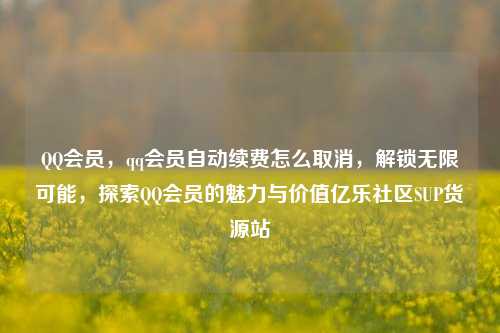 QQ会员，qq会员自动续费怎么取消，解锁无限可能	，探索QQ会员的魅力与价值亿乐社区SUP货源站  第1张